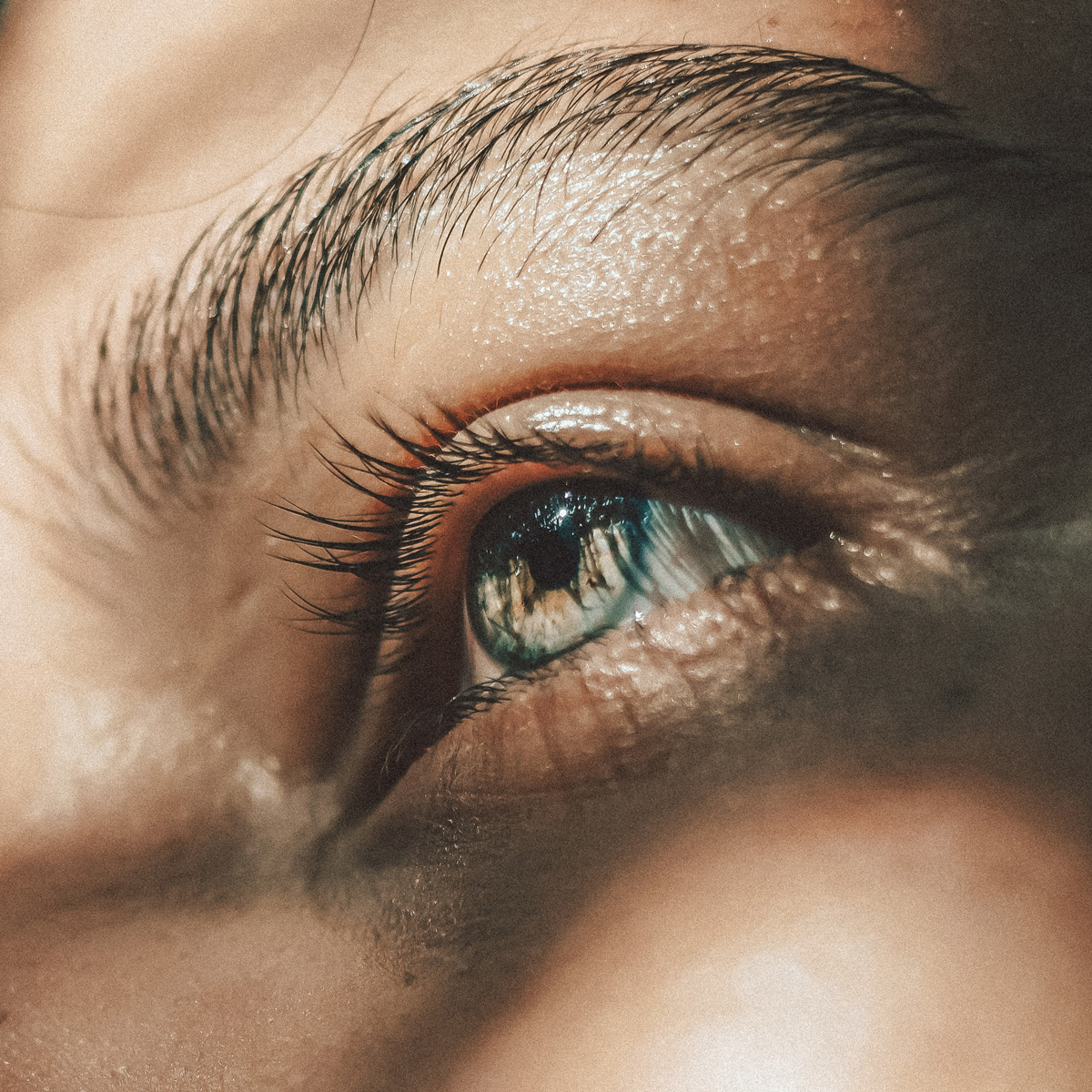 Nahaufnahme des Auges einer Person mit hellblauer Iris und detaillierter Fokussierung auf Wimpern, Augenbrauen und Hautstruktur. Die Beleuchtung betont die natürliche Lebendigkeit und die feinen Details.